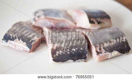 Herring