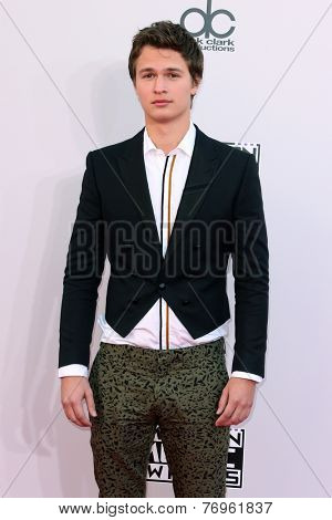 LOS ANGELES - NOV 23:  Ansel Elgort at the 2014 American Music Awards - Arrivals at the Nokia Theater on November 23, 2014 in Los Angeles, CA