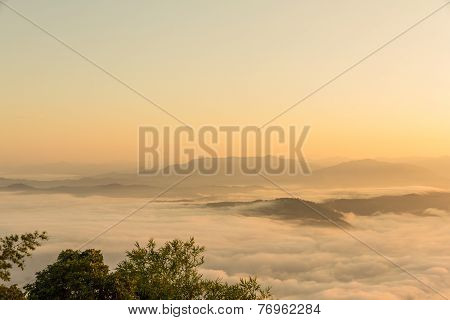 Fog On Mountain