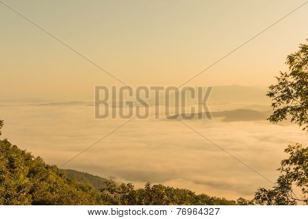 Fog On Mountain