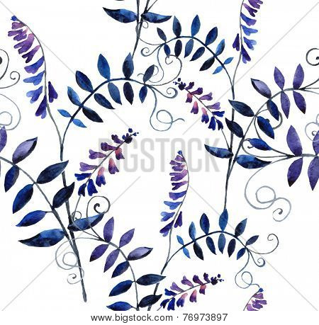 Watercolor vector seamless pattern with wild vetch