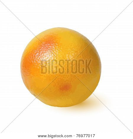 Ripe Golden Appetizing Grapefruit.