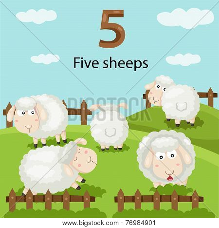 Illustrator of number five sheeps