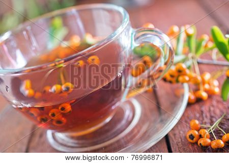 Fresh Tea