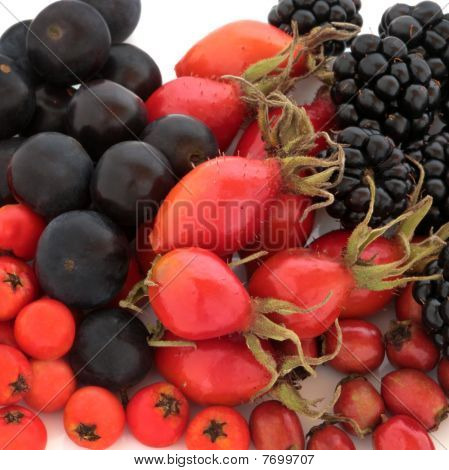 Дикие фрукты осени