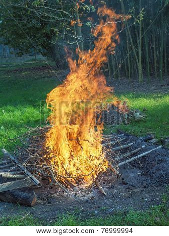Burning Fire