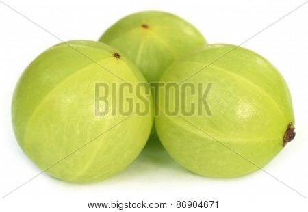 Amla Fruits