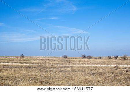 Steppe