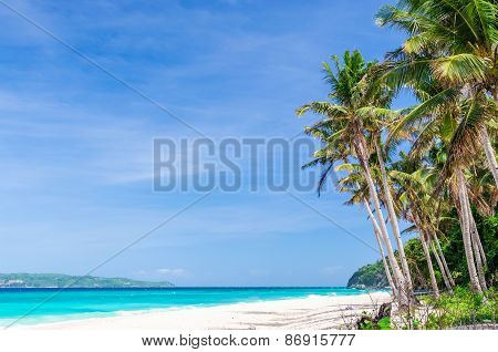 Tropical White Beach View And Palm Trees With Turquoise Sea