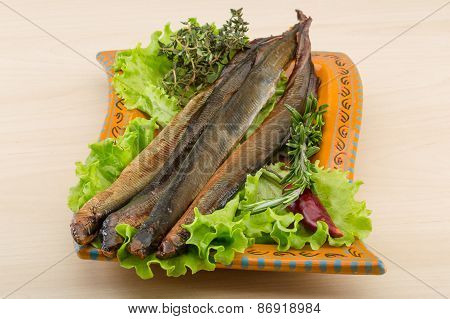 Lamprey