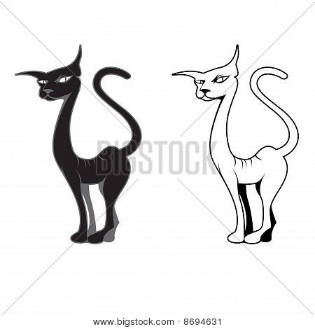 黑色和白色的猫