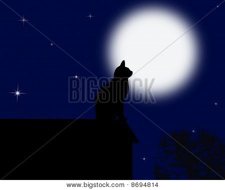 Moon cat