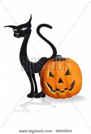 南瓜和一只黑猫