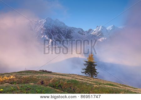 Early Spring In The Caucasus Mountains.