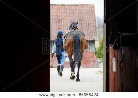 Rider With The Horse