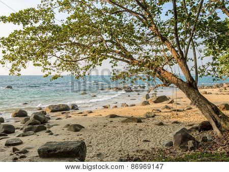 Rock Beach With Wooden Swing