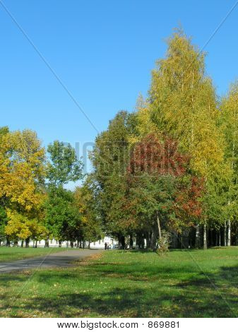 Alberi d'autunnali