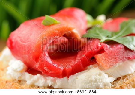 Sandwich With Gravlax, Parsley, Scallion And Cream Cheese On Spring Grass Background