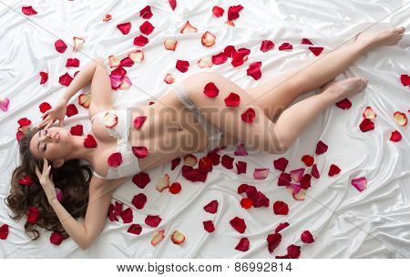 Tempting model in erotic lingerie with rose petals