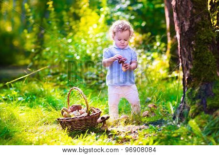 Little Girl Picking Mushrooms In Autumn Park