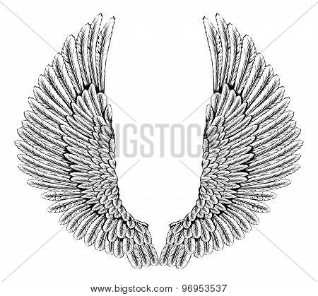 Eagle Or Angel Wings