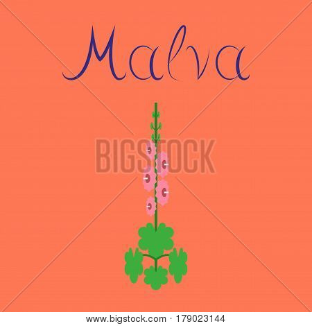 flat illustration on stylish background plant Malva