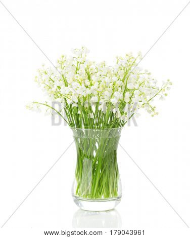 Bouquet of Lilies of the Valley isolated on white background.