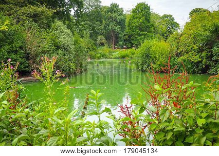 A pond with ducks surrounded with trees and flowers in Greenwich Park London.