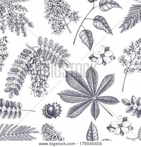 Seamless pattern with hand drawn blossoming trees illustrations. Vector botanical background. Hand sketched elements.