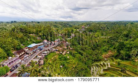 Aerial view of Tegalalang Rice Terrace in Ubud Bali Indonesia.