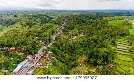 Aerial view of Tegalalang Rice Terrace in Ubud Bali Indonesia.