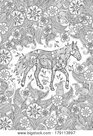 Coloring page in zentangle inspired style. Running horse on flowering meadow. Vertical composition. Coloring book for adult and older children. Editable vector illustration.