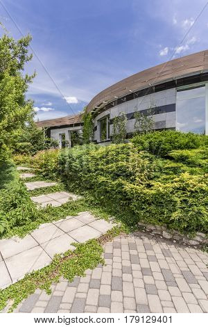 Modern Housefront Surrounded By Plants
