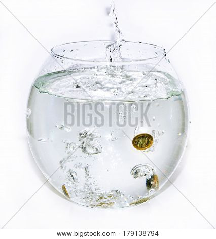 Euro Coins In Aquarium With Water.