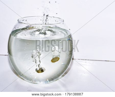 Euro Coins In Aquarium With Water.