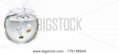 Euro Coins In Aquarium With Water.