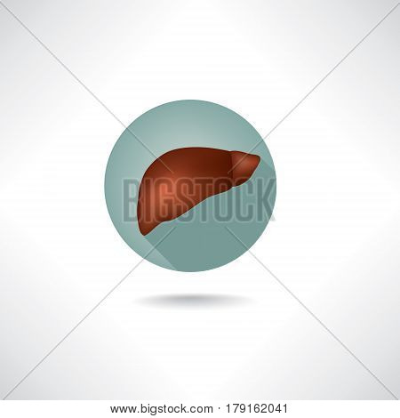 Liver icon. Human anatomy web buttons set.