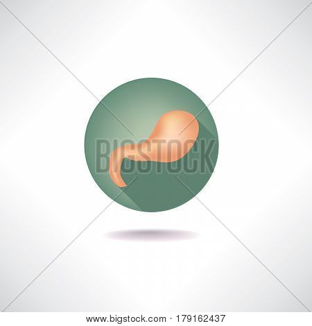 Stomach icon. Human anatomy sign. web buttons.