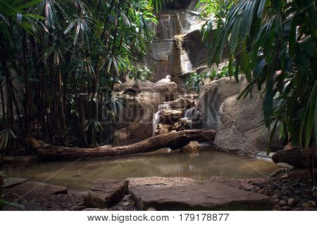 waterfall with mandarin ducks beautiful nature background
