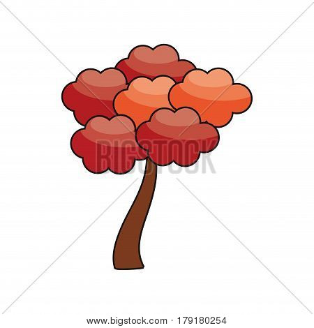 sakura tree japanese flora image vector illustration eps 10