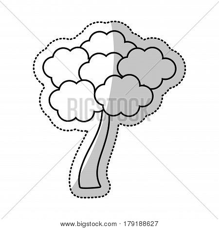 outlined tree skura japanese vector illustration eps 10