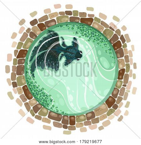 black goldfish pond top view vector illustration