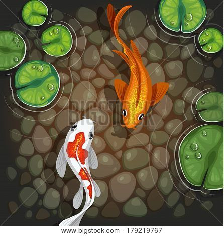 carps koi fish underwater pond vector illustration