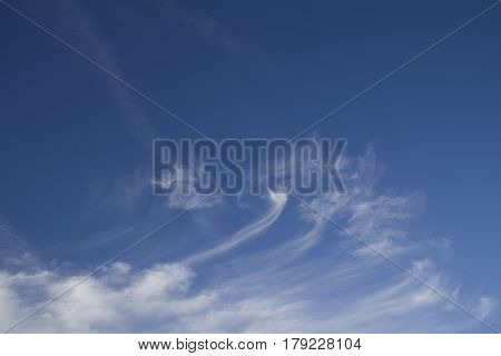 In the blue evening sky tall white cloud art