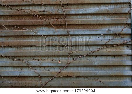 Rusted metal door background. Old rusted metal texture. Old metal surface. Abstract background and texture for designers. Grunge old rusty scratched surface texture.