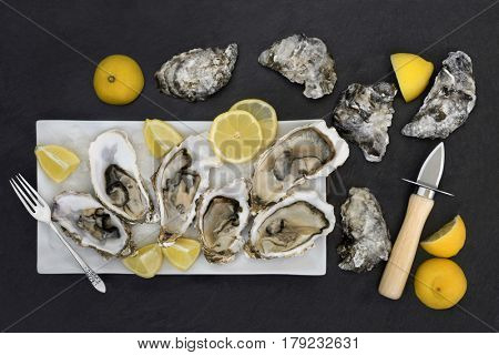 Oysters on crushed ice with oyster knife, old silver fork and lemon fruit on a porcelain plate on slate.