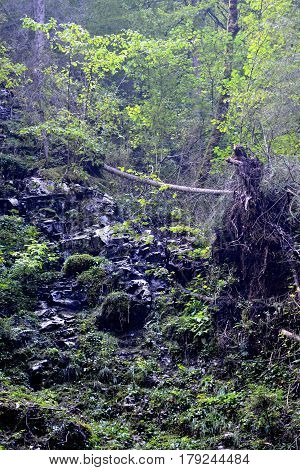 Landscape in Apuseni Mountains, Transylvania. The Apuseni Mountains is a mountain range in Transylvania, Romania, which belongs to the Western Romanian Carpathians, also called Occidentali in Romanian. The Apuseni Mountains have about 400 caves
