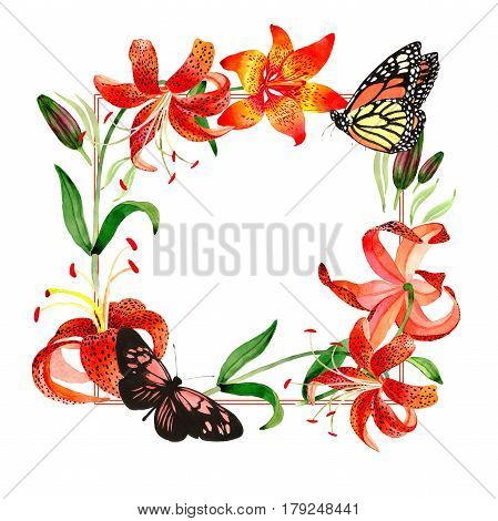 Wildflower leopard lily flower frame in a watercolor style isolated.  Aquarelle wild flower for background, texture, wrapper pattern, frame or border.