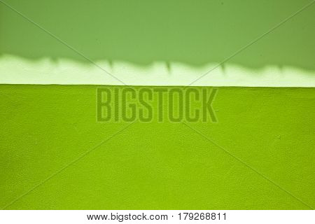 This is a green textured wall abstraction