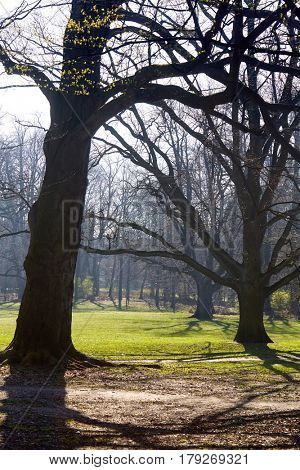 Paths in springtime